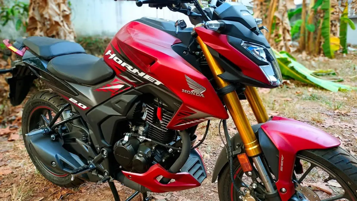 Honda Hornet 2.0