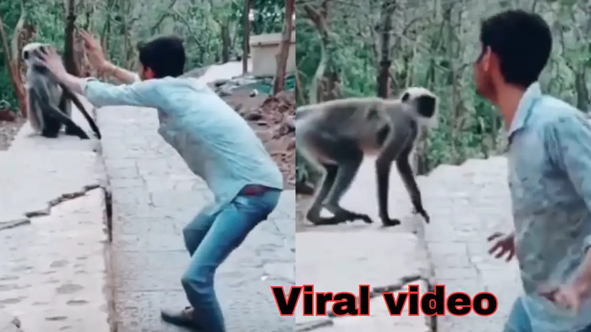 Viral video